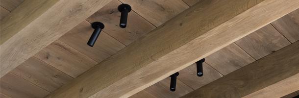 controleren Interesseren maandag Eiken plafonds: plafondbekleding in eiken | Carpentier