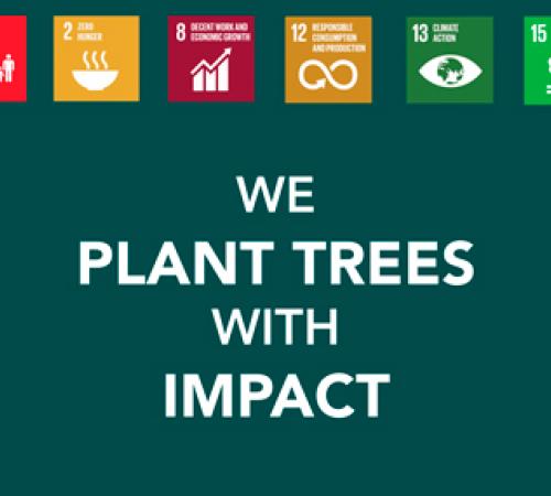 SDG's aanplanting bomen met impact