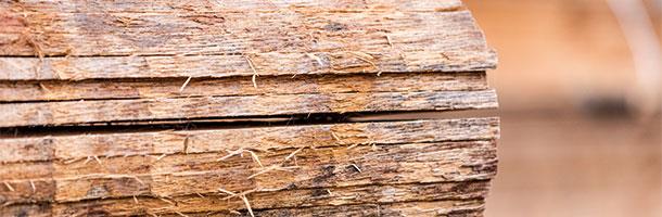 Waney-edged oak boards